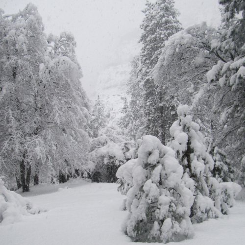 Snowy Yosemite